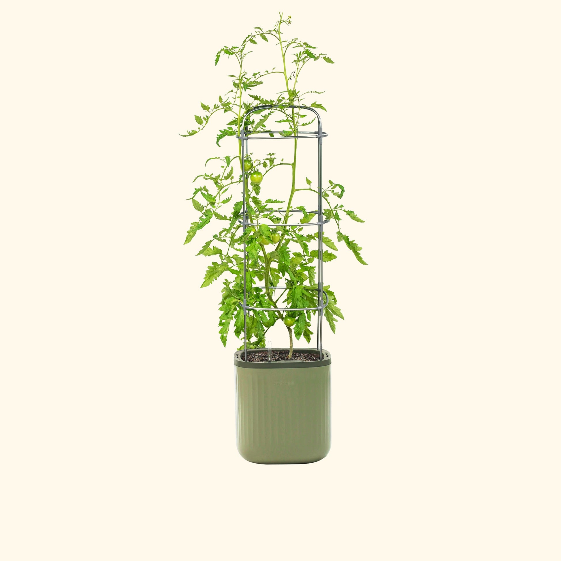 self-watering rolling planter Self-Watering Planter with Trellis – Renee's Garden