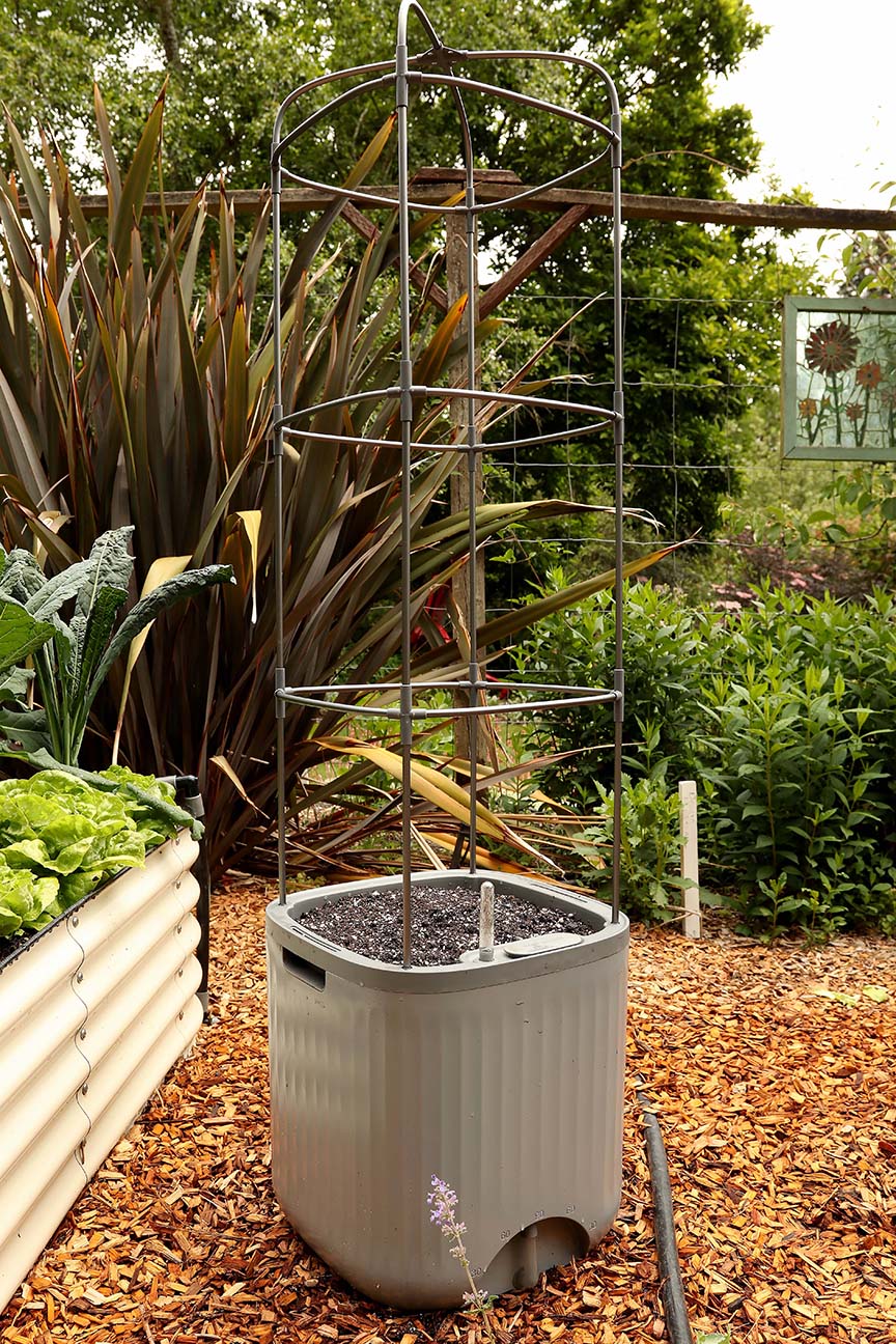 self-watering tomato planter with trellis Self-Watering Rolling Tomato Planter with Trellis–Vego Garden, Cream White