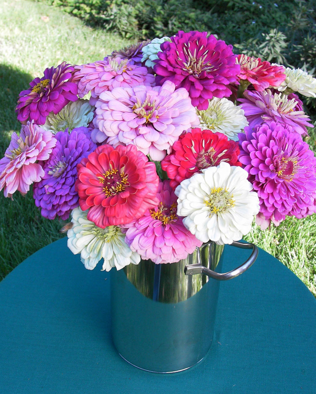 Cool Crayon Colors' Cutting Zinnias – Renee's Garden