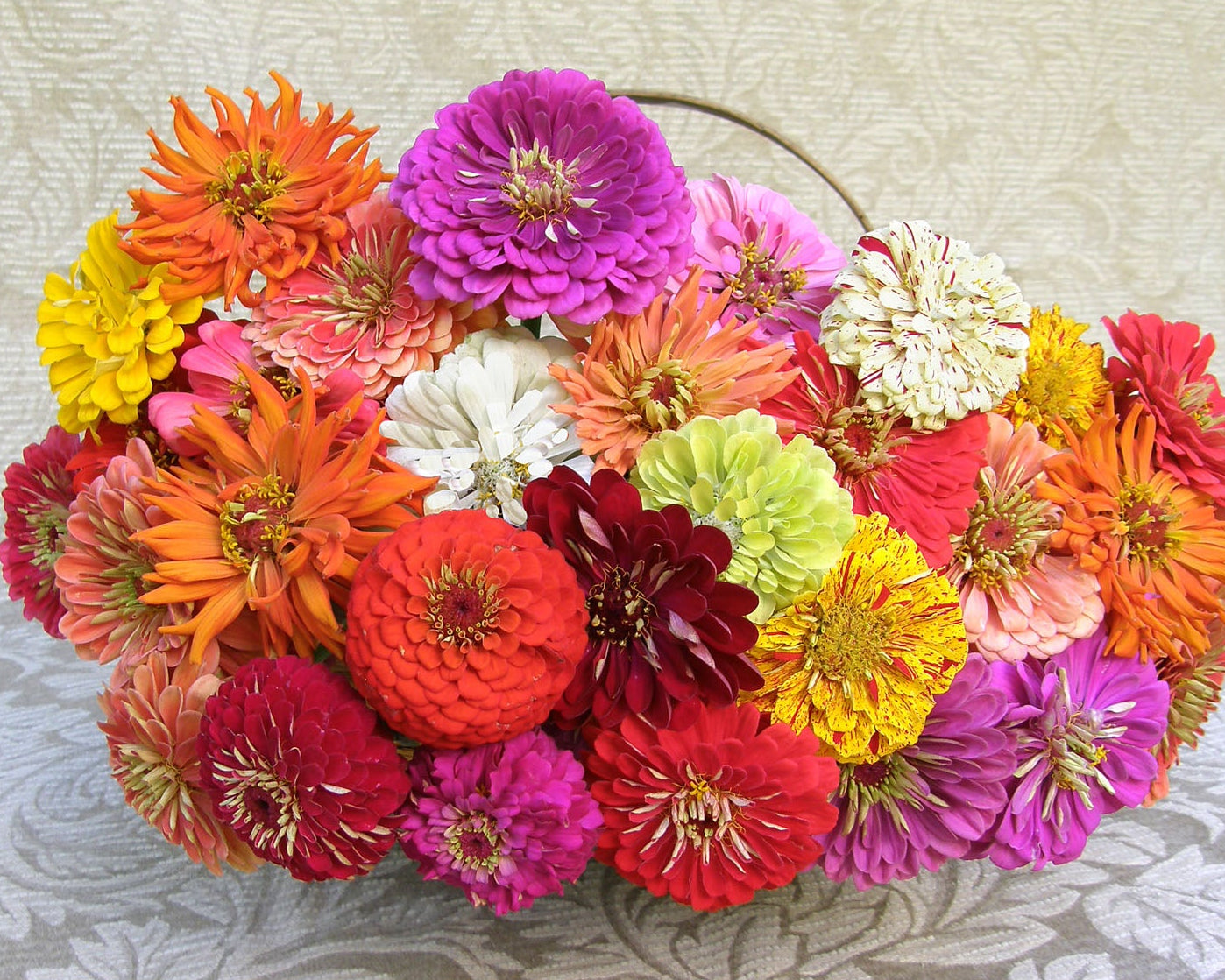 ★REINA★クリームサンプル20個追加分 Granny's Bouquet' Heirloom Zinnias – Renee's Garden