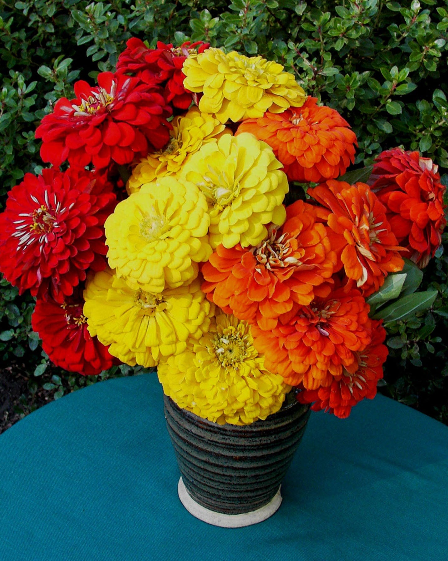 【グレア●】ダイワ紅牙150ｇ～250ｇ/ビンビン玉160＆200ｇ/ Hot Crayon Colors' Cutting Zinnias – Renee's Garden