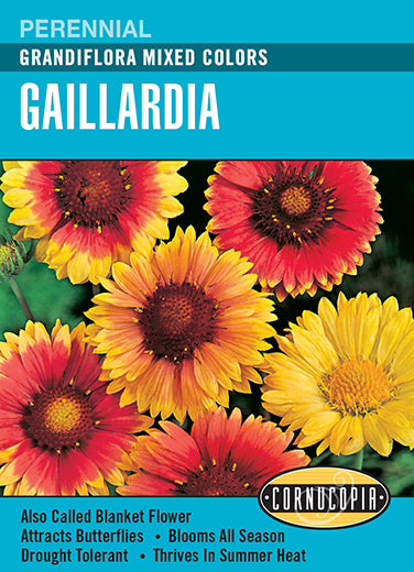 Gaillardia Grandiflora Mixed Colors