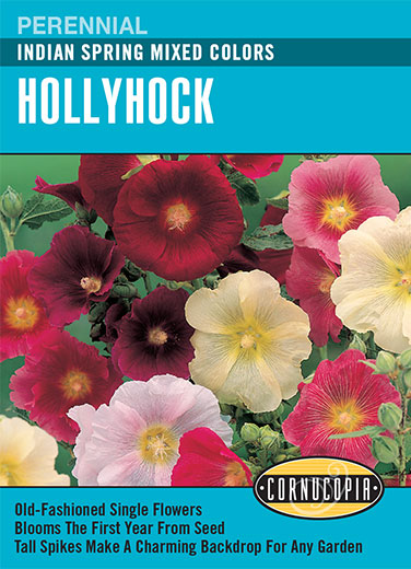 Heirloom Hollyhock, Indian Spring Mixed Colors