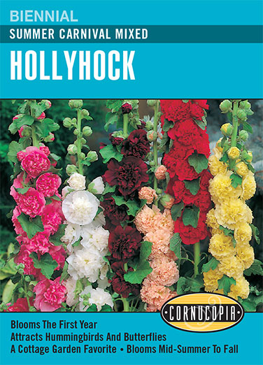Heirloom Hollyhock, Summer Carnival Mixed Colors
