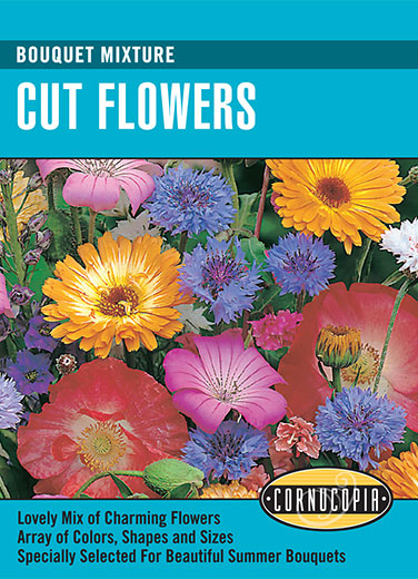 Cut Flowers 'Bouquet Mixture'