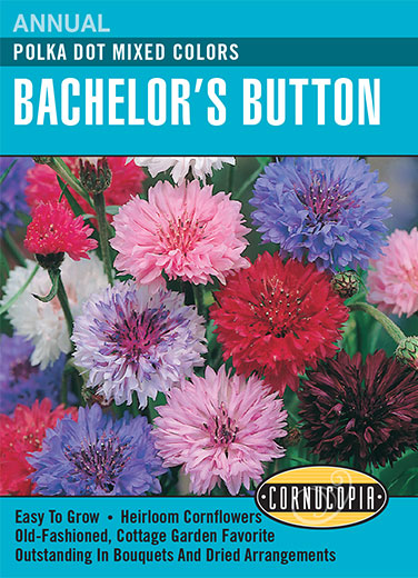 Bachelor's Button Seeds Polka Dot Mixed Colors