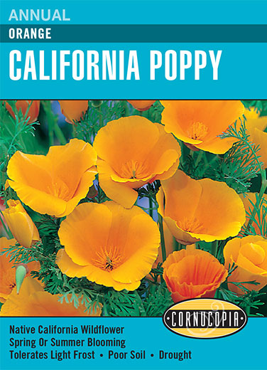 Heirloom California Poppy, Orange