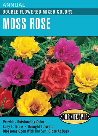 Heirloom Moss (Portulaca), Rose Double Flowered Mixed Colors