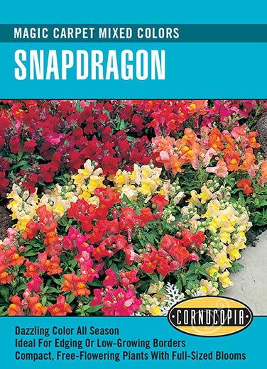 Heirloom Snapdragon, Magic Carpet Mixed Colors