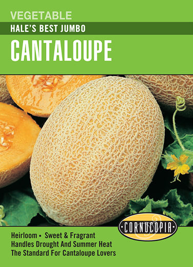 Cantaloupe Hale's Best Jumbo Seeds