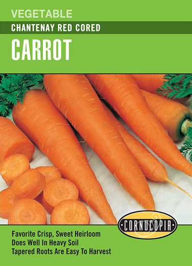 Carrot Chantenay Red Cored Seeds