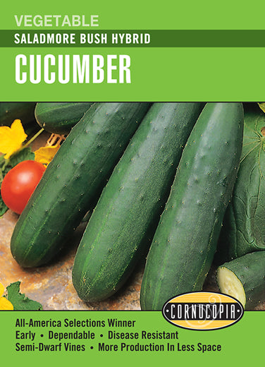 Saladmore Bush Hybrid Cucumber