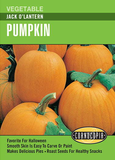 Heirloom Pumpkin, Jack O'Lantern