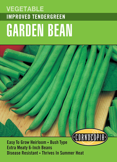 Heirloom Bush Bean Improved Tendergreen