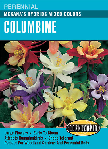 Columbine McKana's Hybrids Mixed Colors Seeds