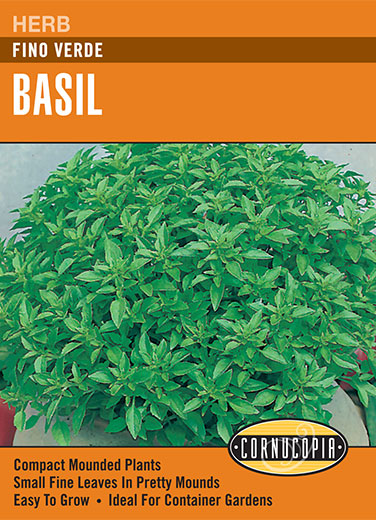 Heirloom Basil, Fino Verde