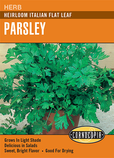 Parsley Italian Flat Leaf Seeds