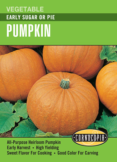 Heirloom Pumpkin, Early Sugar or Pie