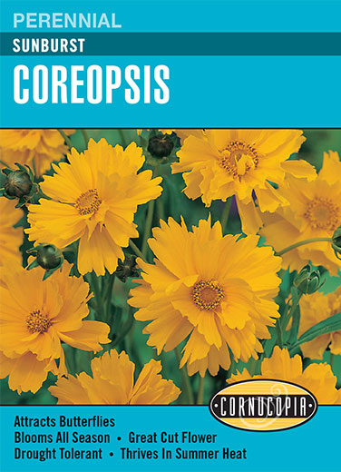 Coreopsis Sunburst Seeds