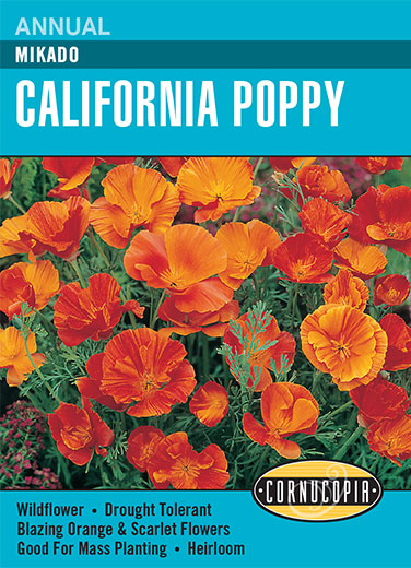 Heirloom California Poppy, Mikado