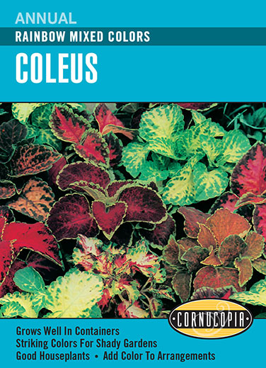 Coleus Seeds - Rainbow Mixed Colors