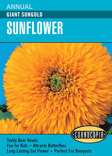 Sunflower Giant Sungold