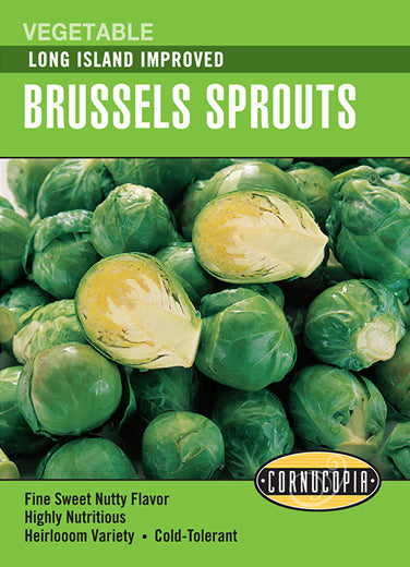 Brussels Sprouts Long Island Improved