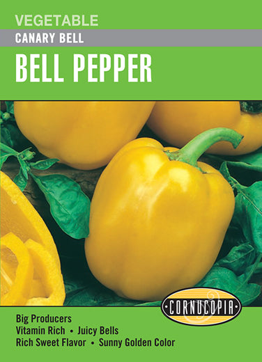 Heirloom Pepper, Canary Yellow Bell
