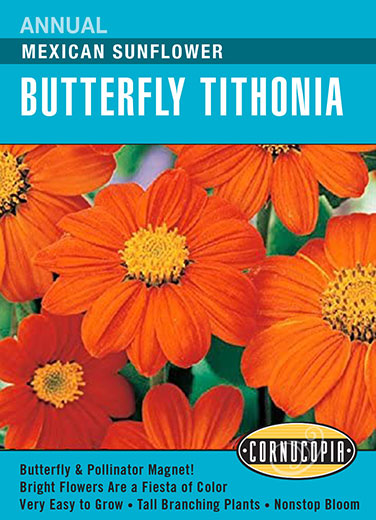 Butterfly Tithonia 'Heirloom Mexican Sunflower'
