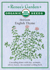 English Thyme Organic Seeds - 2,250 Seeds