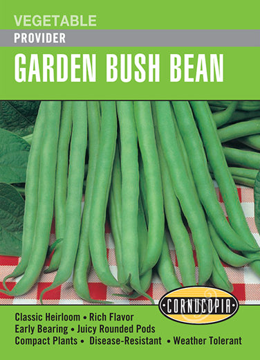 'Provider' Garden Bush Bean