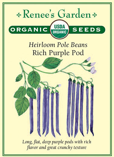 Rich Purple Pod