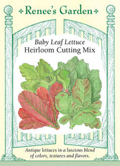 'Flashy Trout Back' Heirloom Cutting Lettuce | Renee's Garden Seeds
