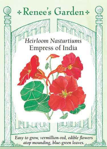 Edible Flower - Nasturtium - 4 x 50 Count