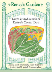 'Italian Misticanza' Heirloom Baby Salads | Renee's Garden Seeds