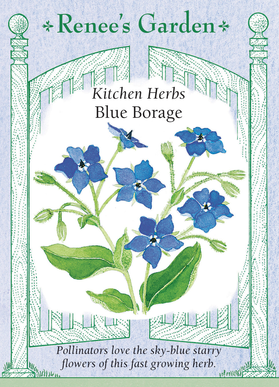 Blue Borage