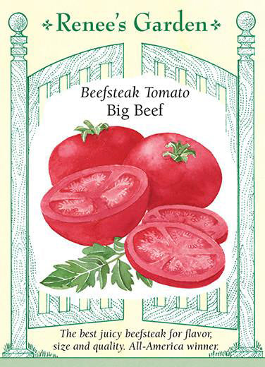 Big Beef Tomato (2 Pack)