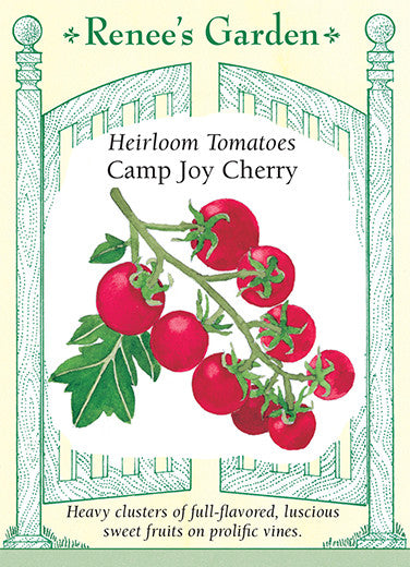 Camp Joy Cherry