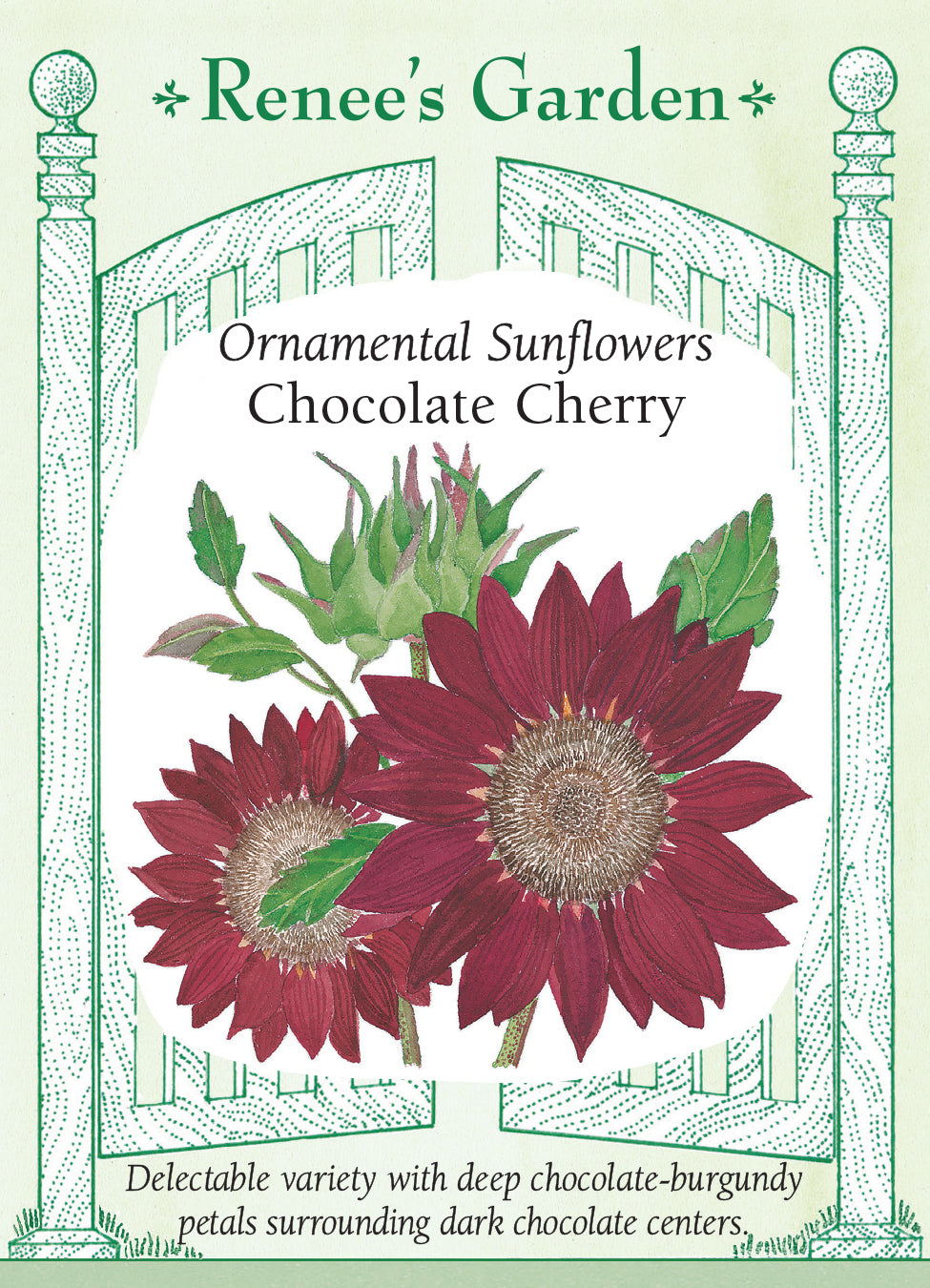 Seed Assortment - Growing Happiness Annual Flower Collection in