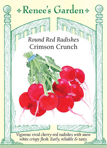 Red Shallots  Renee's Garden Seeds