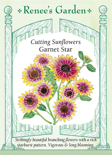 Prelude nødvendighed pludselig Garnet Star' Cutting Sunflowers | Renee's Garden Seeds
