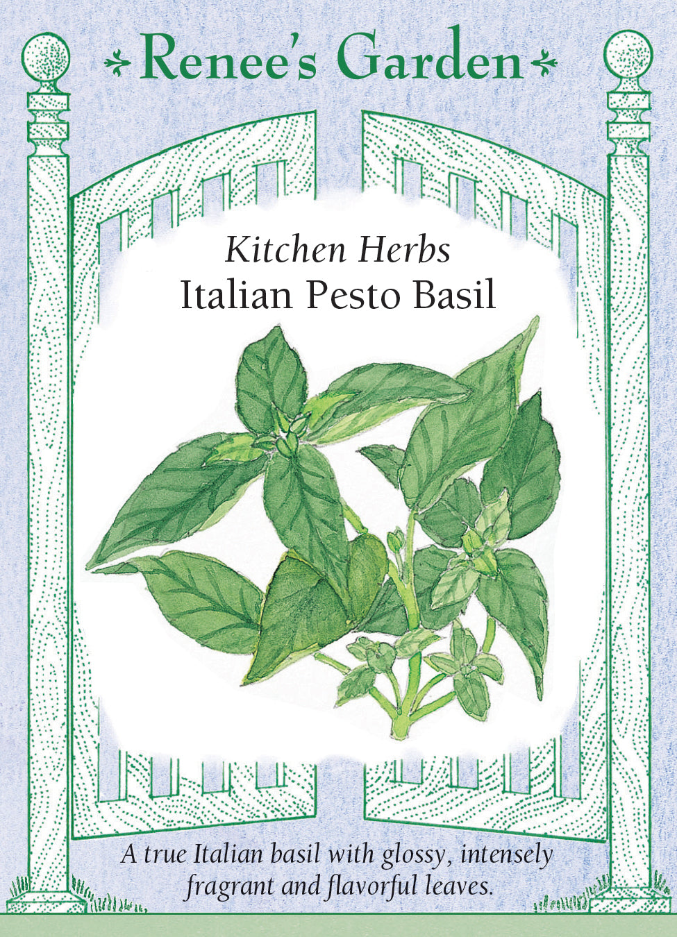 Italian Pesto Basil