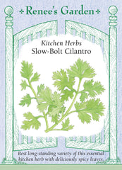 Slow-Bolt Cilantro