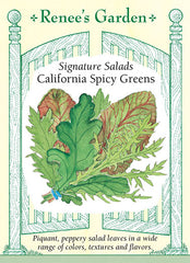 California Spicy Greens