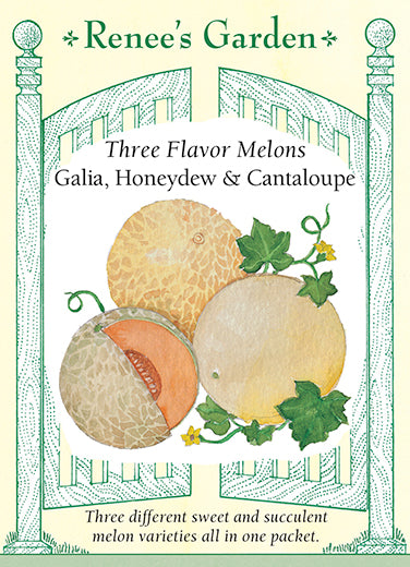 Galia, Honeydew & Cantaloupe