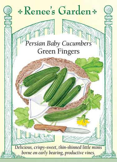 Renee's Garden Baby Persian Green Fingers Cucumber