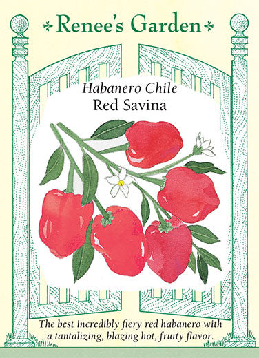 Red Savina