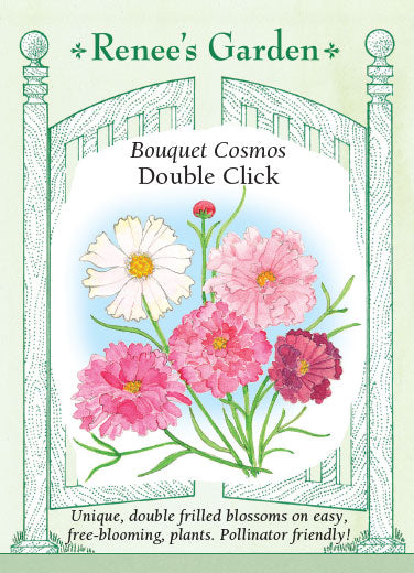 Graines Cosmos Double Click Varié – Éclat et Diversité pour Jardin et  Bouquet