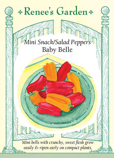 Baby Belle' Mini Snack/Salad Peppers