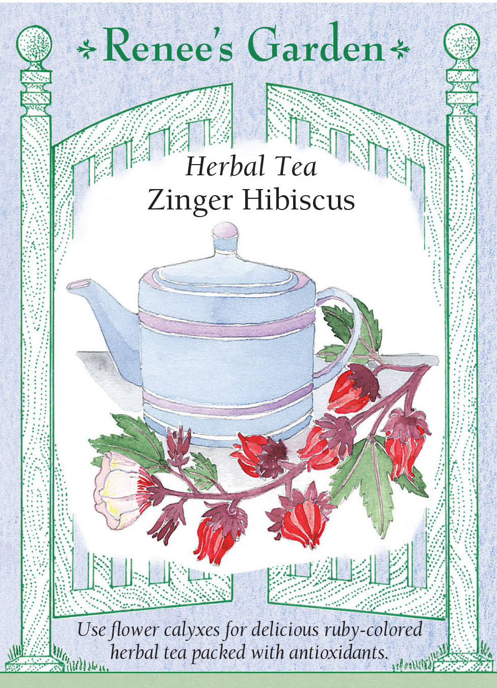 Zinger Hibiscus